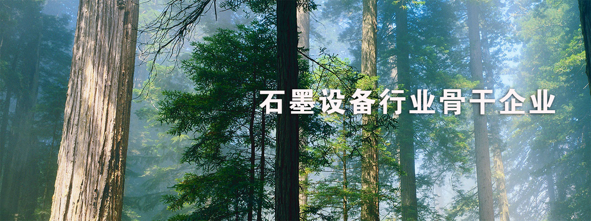 山東德福涂料有限公司